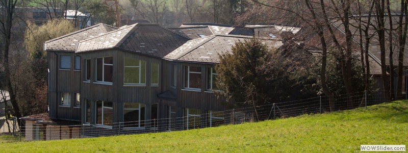 steiner schule